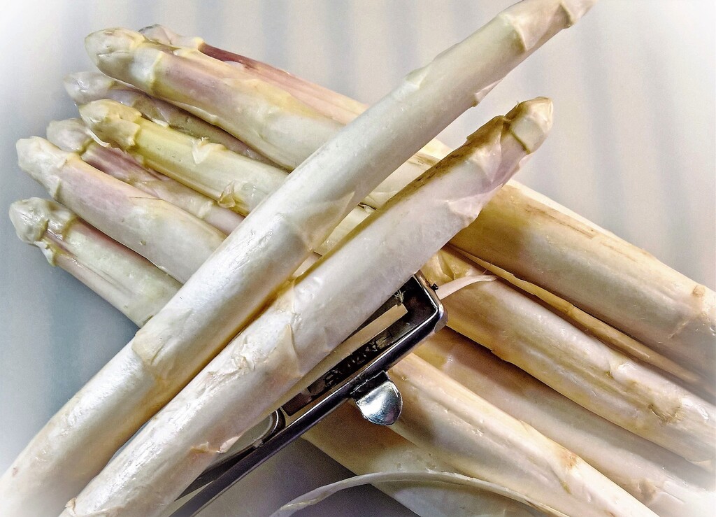 Spargelhof Waldmüller