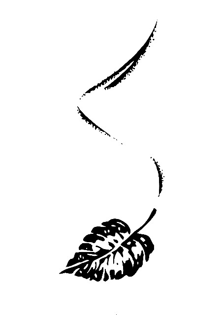 Bestattung Marcus Biermeier