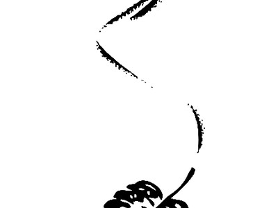 Bestattung Marcus Biermeier