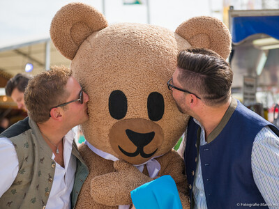 Bussi für den Gillamoosbär