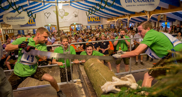 Gillamoos: Spannung beim Holzsägen