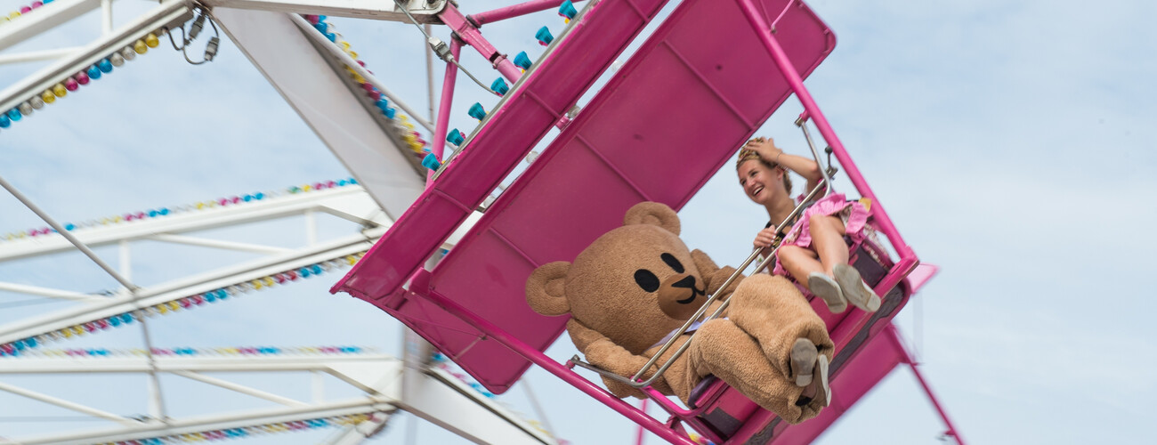 Gillamoosbär im Allround