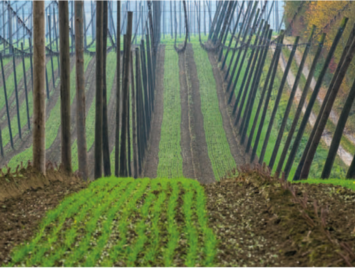 Bewerbungsschluss kunstMomente naht