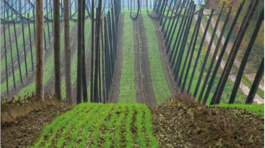 Bewerbungsschluss kunstMomente naht