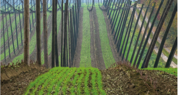 Bewerbungsschluss kunstMomente naht