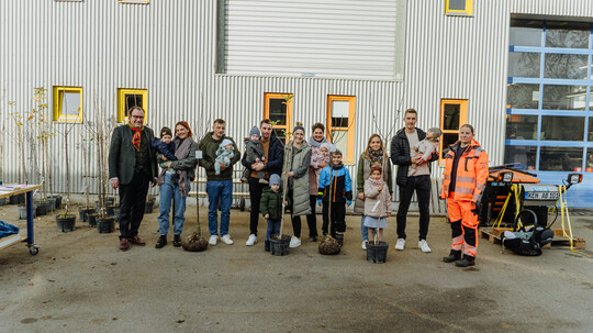 Geburtenpflanzbäume