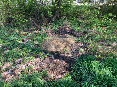 Gartenabfälle gehören nicht in die Natur