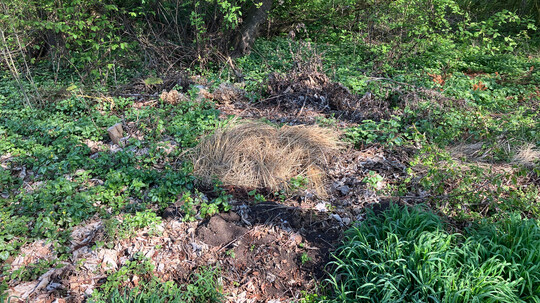 Gartenabfälle gehören nicht in die Natur