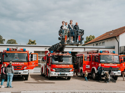 Galeriebild