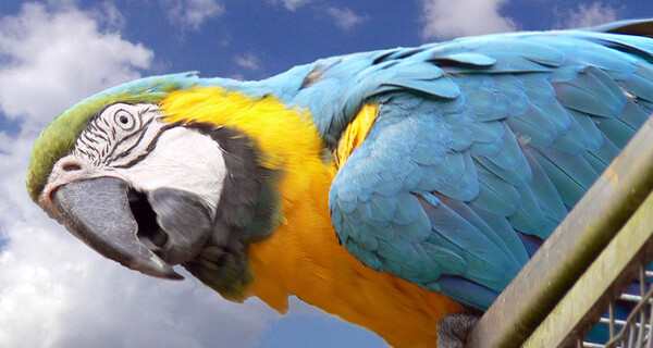 Abensberg Vogel- und Tierpark | © Foto & Studio Wagenseil, Neustadt