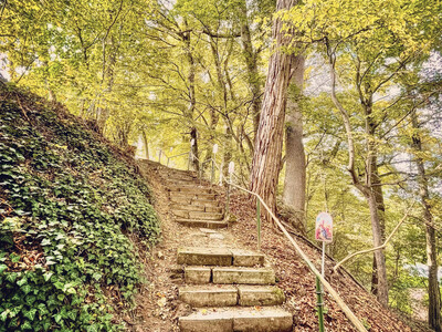 Weg zur Allersdorfer Wallfahrtskirche Mariä Himmelfahrt