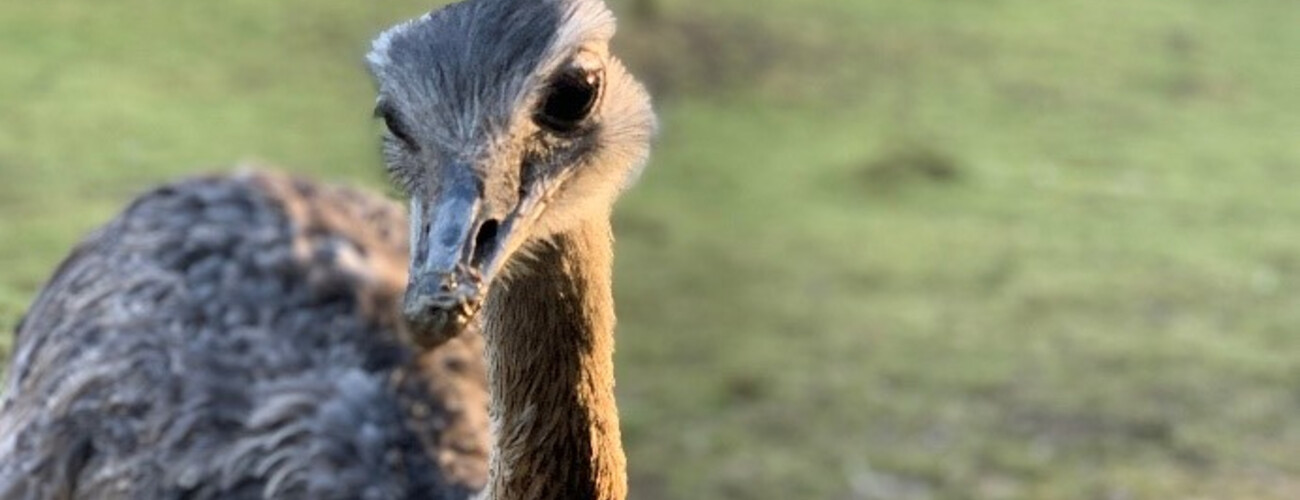 Vogel- und Tierpark Abensberg