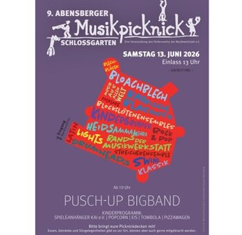 9. Abensberger Musikpicknick